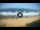 Webcam in Ballito, 1750.4 km