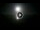 Webcam in Forte dei Marmi, 0.6 mi away