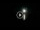 Webcam in Forte dei Marmi, 10.7 km