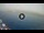 Webcam in Playa de las Americas (Tenerife), 0.8 km