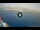 Webcam in Playa de las Americas (Tenerife), 0.3 km