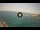 Webcam in Playa de las Americas (Tenerife), 5 km