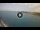 Webcam in Playa de las Americas (Teneriffa), 3.8 km entfernt