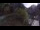 Webcam in Cauterets, 13.7 mi away