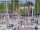 Webcam in Arbon, 7.3 mi away
