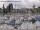 Webcam in Arbon, 9.4 km