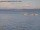 Webcam in Arbon, 7.1 km entfernt