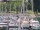 Webcam in Arbon, 4.4 mi away