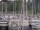 Webcam in Arbon, 15 km entfernt