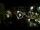 Webcam in Campli, 7.3 km