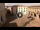 Webcam in Campli, 26.4 km entfernt