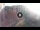 Webcam in Campli, 11 mi away