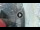 Webcam in Genua, 4.6 km entfernt