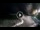 Webcam in Genova, 1.2 mi away