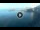 Webcam in Genova, 1.8 mi away