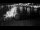 Webcam in Mrzeżyno, 78.5 km