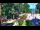 Webcam in Pustkowo, 28.5 mi away