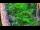 Webcam in Pustkowo, 25.9 mi away