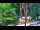 Webcam in Pustkowo, 8.2 km