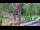 Webcam in Pustkowo, 40.3 km entfernt