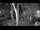 Webcam in Pustkowo, 1.2 mi away