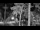 Webcam in Pustkowo, 25.9 mi away