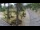 Webcam in Pustkowo, 5.5 mi away
