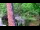 Webcam in Pustkowo, 5.5 mi away