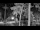 Webcam in Pustkowo, 25.9 mi away