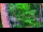 Webcam in Pustkowo, 2.9 km entfernt