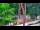 Webcam in Pustkowo, 40.3 km entfernt