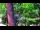 Webcam in Pustkowo, 3.1 km