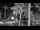 Webcam in Pustkowo, 73.7 km