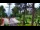 Webcam in Pustkowo, 22.1 km