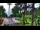 Webcam in Pustkowo, 8.2 km entfernt