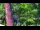 Webcam in Pustkowo, 53.2 km entfernt