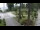 Webcam in Pustkowo, 2.9 km