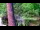 Webcam in Pustkowo, 3.1 km