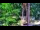 Webcam in Pustkowo, 15.2 km entfernt