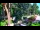 Webcam in Pustkowo, 73.7 km