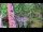 Webcam in Pustkowo, 22.1 km