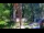 Webcam in Pustkowo, 40.3 km entfernt