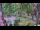 Webcam in Pustkowo, 8.2 km