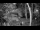 Webcam in Pustkowo, 1.2 mi away