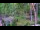 Webcam in Pustkowo, 67.2 km