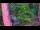 Webcam in Pustkowo, 73.7 km