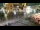 Webcam in Krakau (Krakow), 2.1 km entfernt