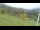 Webcam in Zawoja, 3.8 km