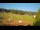 Webcam in Sienna, 95.3 km entfernt