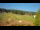 Webcam in Sienna, 20.6 km entfernt
